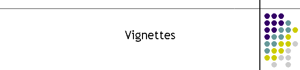 Vignettes