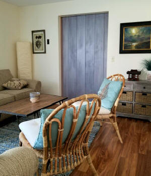 Shiplap Barn Door